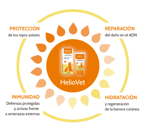 HelioVet SPF50+ Protector Solar en Crema para Perros y Gatos 50ml
